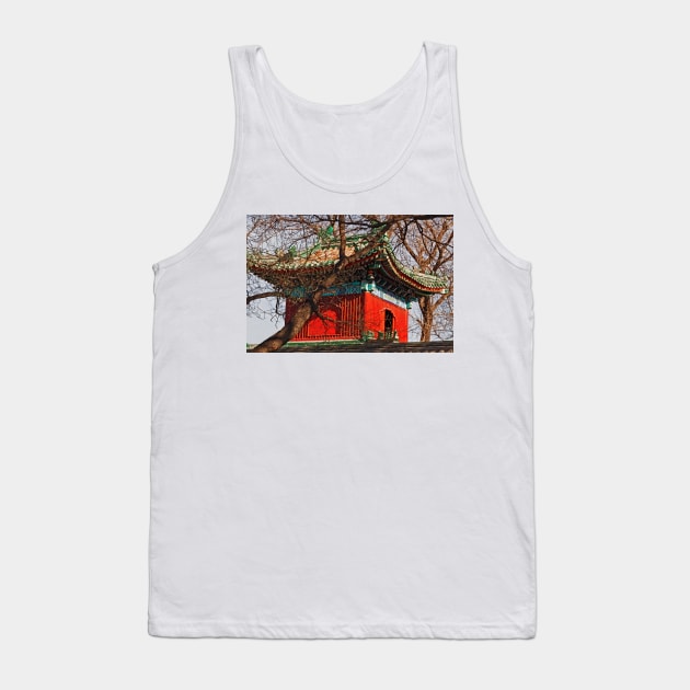 A Side Street Penthouse In Beijing - 2 © Tank Top by PrinceJohn